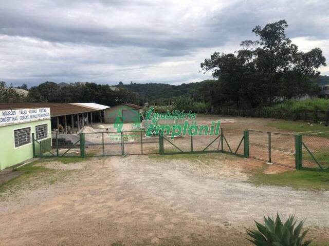 #CAV426 - Terreno para Venda em Campo Limpo Paulista - SP